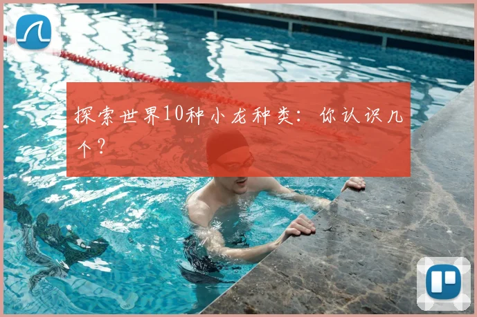 探索世界10种小龙种类：你认识几个？