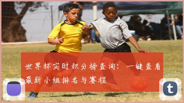 世界杯实时积分榜查询：一键查看最新小组排名与赛程