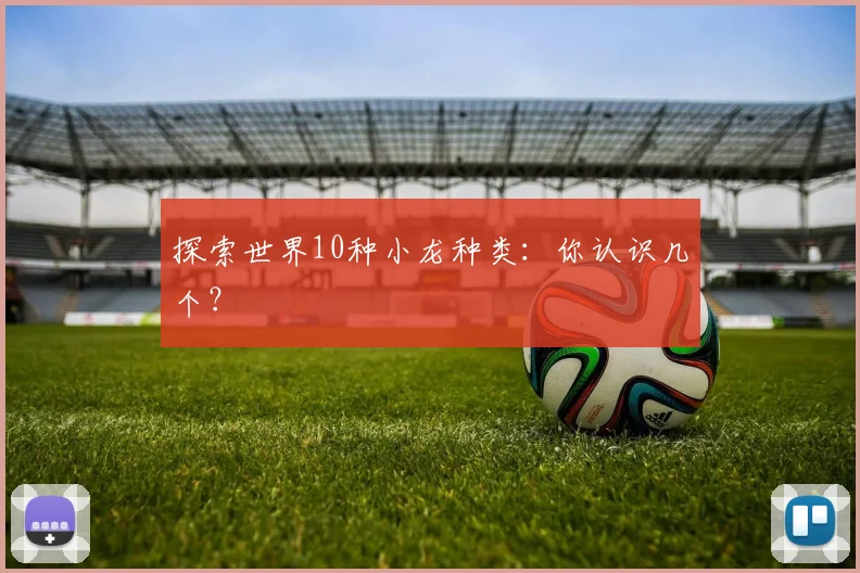 探索世界10种小龙种类：你认识几个？